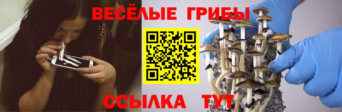 Псилоцибиновые грибы Magic Shrooms  Вход с VPN  Санкт-Петербург 